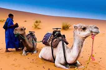 4 days desert tour from Casablanca to Marrakech